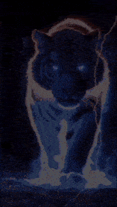 a painting of a tiger with blue eyes walking
