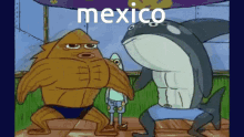Mexico GIF - Mexico GIFs