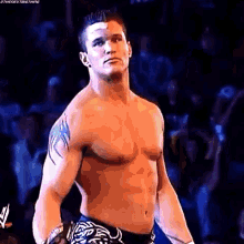 Randy Orton Entrance GIF - Randy Orton Entrance Intercontinental Champion GIFs