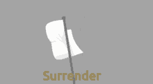 Surender GIF - Surender GIFs