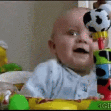 Scared Terrified GIF - Scared Terrified Funny - Discover & Share GIFs
