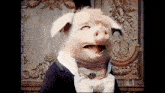a pig wearing a tuxedo and bow tie looks at the camera