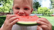 Eating Watermelon Bonnie Hoellein GIF - Eating Watermelon Bonnie Hoellein Take A Bite GIFs
