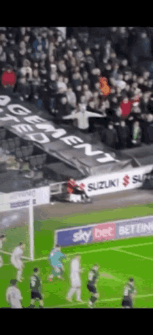plymouth argyle belly flop