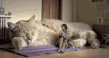 Cat Couch Snuggle GIF - Cat Couch Snuggle Cat GIFs