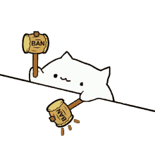 cat bongo