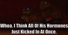 Tmnt Donatello GIF - Tmnt Donatello Whoa I Think All Of His Hormones GIFs
