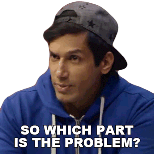 so-which-part-is-the-problem-kanan-gill.gif