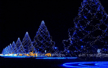 Christmas Trees GIF