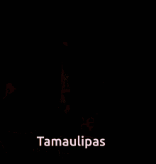 Tamaulipas Yakuza GIF