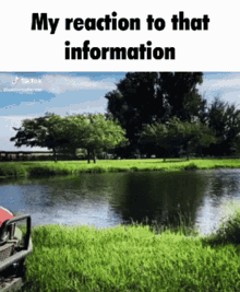 Guy Walks Into River My Reaction To That Information GIF