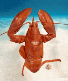 Lobster Yes GIF - Lobster Yes Happy GIFs