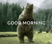 a bear is standing on its hind legs in a field with the words `` good morning '' written on it .