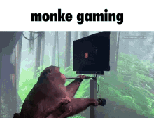 Monke Monkey GIF - Monke Monkey Monke Gaming GIFs