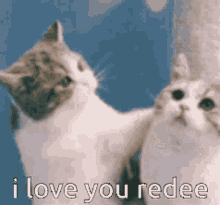 I Love You Redee Redee GIF