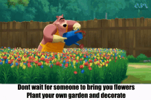 aum animation andy pirki diy plant your own garden