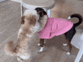 a dog wearing a pink shirt with the word snoopy on it
