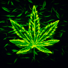 Marijuana Leaf Pot Leaf GIF - Marijuana Leaf Pot Leaf Weed GIFs