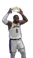 a basketball player with the number 6 on his jersey