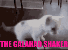 Thug Shaker Kittyhad GIF - Thug Shaker Kittyhad Essp GIFs