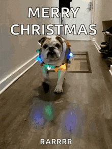 Merry Christmas Dog GIF - Merry Christmas Dog Bulldog GIFs