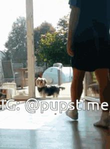 a picture of a man standing next to a dog with a caption that says pupstime