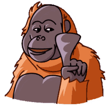 orangutan telegram orangutan orang hi orang