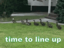 Line Up GIF - Line Up Line In Line GIFs