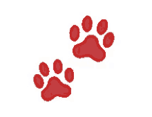 paw prints paws walk emoji