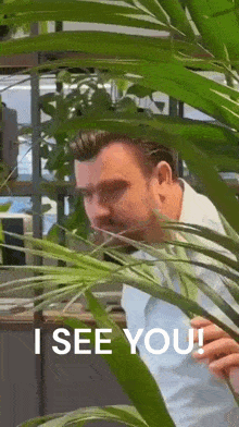 a man peeking out from behind a plant with the words " i see you " written on the bottom