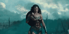 Fierce GIF - Wonder Woman GIFs