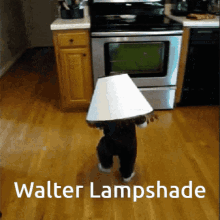 Funny Names Lampshade GIF - Funny Names Lampshade Walter GIFs