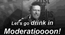 Lets Go Drink In Moderation Party GIF - Lets Go Drink In Moderation Party Alcohol GIFs