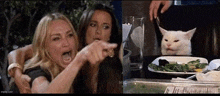 two women are sitting at a table with a plate of food and a cat .