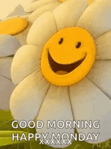 a smiley face on a flower with the words `` good morning happy monday '' .