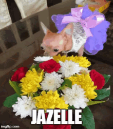 Jazelle Tea Cup Chi GIF - Jazelle Tea Cup Chi GIFs