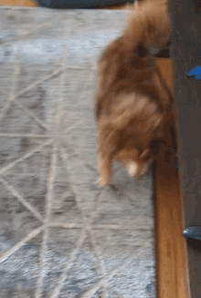 Pepper Dog Stretch GIF - Pepper Dog Stretch GIFs