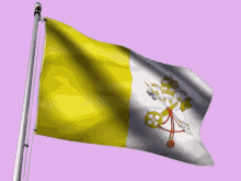Vatican Cong Giao GIF - Vatican Cong Giao Flag GIFs