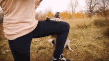 a person is kneeling down with a dog on their knee .