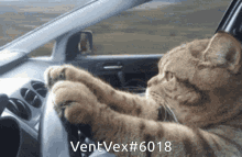 Vent Vex Tgr GIF - Vent Vex Tgr Coruscantguard GIFs
