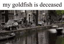 Goldfish Deceased GIF - Goldfish Deceased Funny GIFs