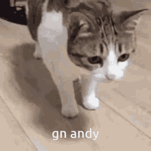 Gn Andy Gn GIF - Gn Andy Gn Good Night GIFs