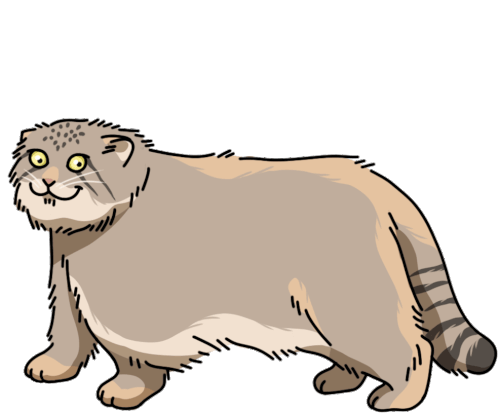 Wild Cat Pallas Cat Sticker - Wild Cat Pallas Cat Manul Stickers