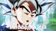 Rule66 No Jedi GIF - Rule66 No Jedi Goku GIFs