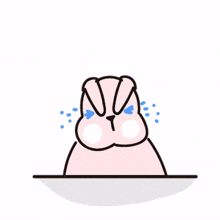 rabbit ear weird cute adorable rabbit ear weird cute adorable