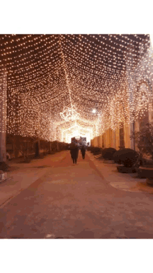 a couple walking under a tunnel of lights