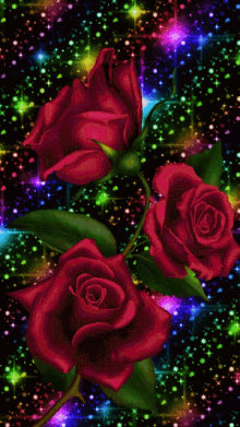 great morning roses red roses sparkle glitters