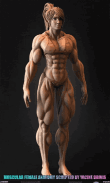 muscular muscles girl woman female