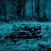 a stack of logs in the middle of a forest