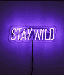 Stay Wild GIF - Stay Wild GIFs